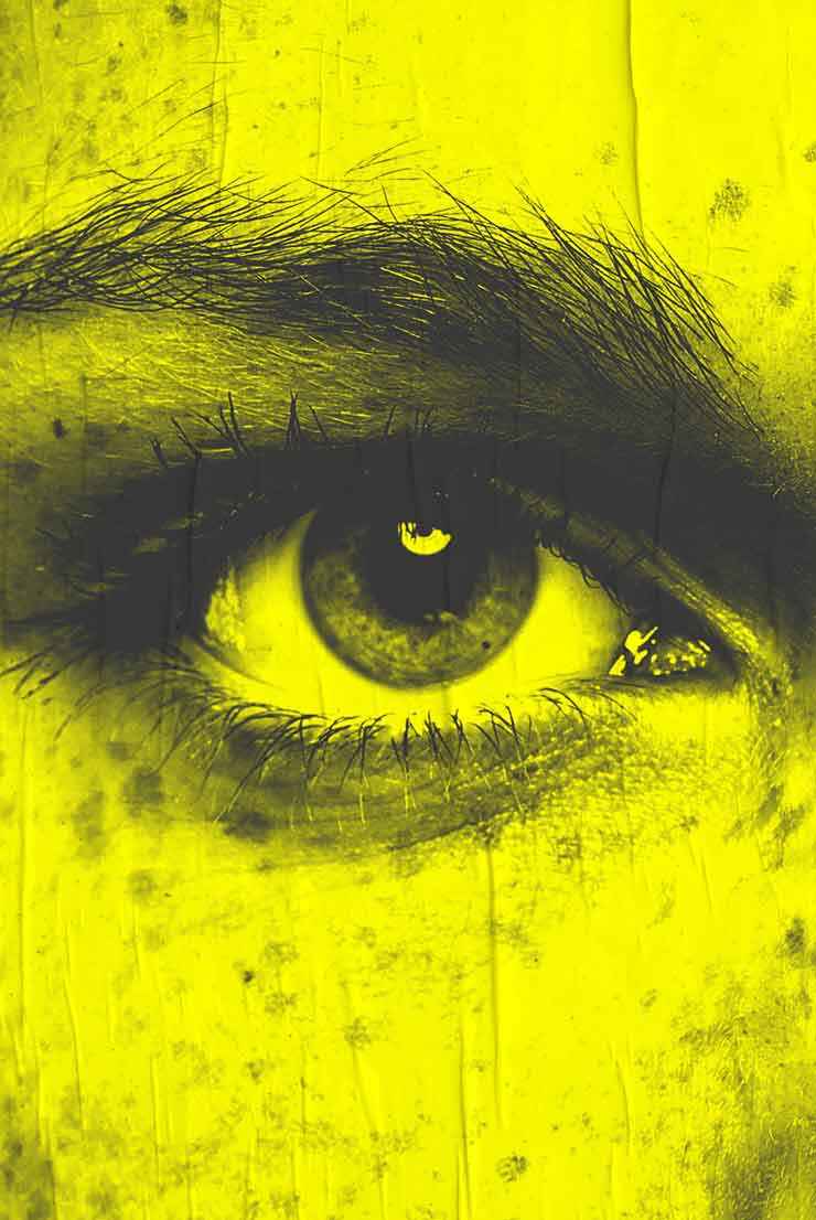 WATCHBOX: Yellow eye closeup