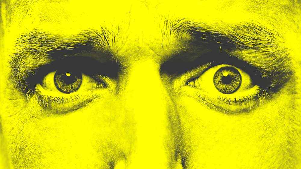 WATCHBOX: Yellow eye closeup, Genre: Series